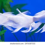 澳门皇冠娱乐的热门游戏推荐:让你畅玩不止的选择 y1fpb