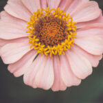 NBA奶油直播:独家视角带你领略赛场内外精彩瞬间 ewfapj3